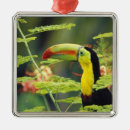 Search for exotic christmas tree decorations Colourful