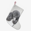 Search for poodles christmas stockings Standard poodle
