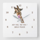 Search for funny posters clocks animal