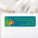 Search for clowns return address labels Clown fish