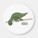 Search for chameleon magnets Lizard