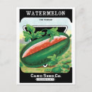 Search for vintage seed packets postcards Retro