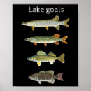 Search for walleye posters Stream