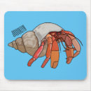 Search for hermit mouse mats Shell
