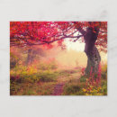 Search for autumn forest postcards Countryside