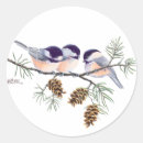 Search for pine needle stickers Pinecones