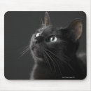 Search for background horizontal standard mouse mats Studio shot