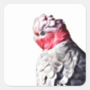 Search for pink cockatoo stickers Parrot