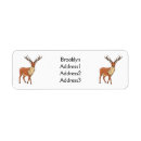 Search for reindeer antlers return address labels Illustration