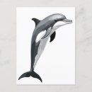 Search for vector illustrations postcards Animal