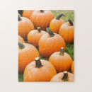 Search for pumpkin puzzles Photography