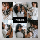 Search for cute kitten posters Trendy