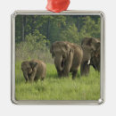 Search for indian elephant christmas tree decorations Jagdeep rajput