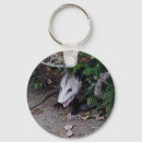 Search for possum key rings Nature