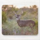 Search for white tailed deer mouse mats Wildlife