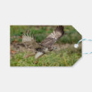 Search for birdwatcher gift wrap Animal