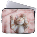 Search for rest cases Sleeping