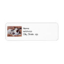 Search for baby cow return address labels Calf