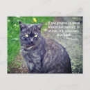 Search for animal quotes postcards Pet