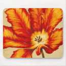 Search for parrot mouse mats Floral