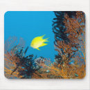 Search for sea side mouse mats Nature