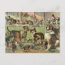 Search for funny cats and dogs postcards Vintage
