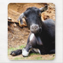 Search for funny goat mouse mats Cute