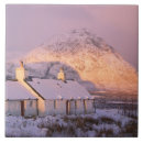 Search for scotland tiles White
