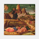 Search for agony magnets Andrea