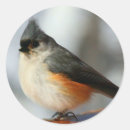 Search for titmouse stickers Tufted