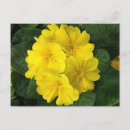 Search for postage stamps postcards Photography