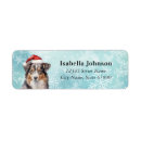 Search for australian shepherd dog return address labels Puppy