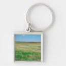 Search for grassland key rings Nature