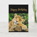 Search for leopard cat cards Fun