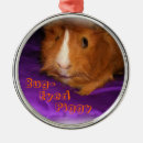 Search for piggy christmas tree decorations Rodent