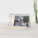 Search for colour palette cards Elegant
