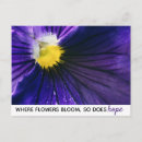 Search for photographer postcards Elegant