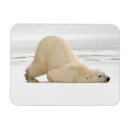 Search for lowlands cards Animal