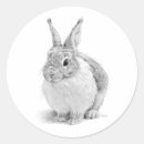 Search for black and white rabbit stickers Vintage
