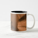 Search for antelope canyon mugs Arizona