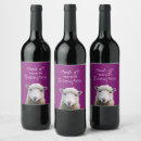 Search for funny sheep Lamb