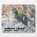 Search for lizards mouse mats Wild