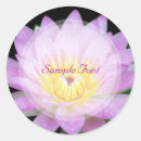 Search for red lily stickers Pink