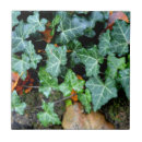 Search for vines tiles Rustic