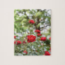 Search for nature photography puzzles Flowers