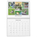 Search for bluebird calendars Robin