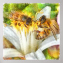 Search for apiarist art Nature
