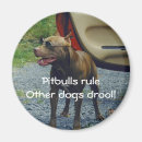 Search for pitbuls magnets Humour