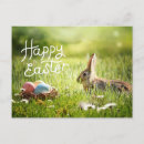 Search for cute easter bunny postcards Eggs