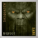 Search for squatching posters Forest